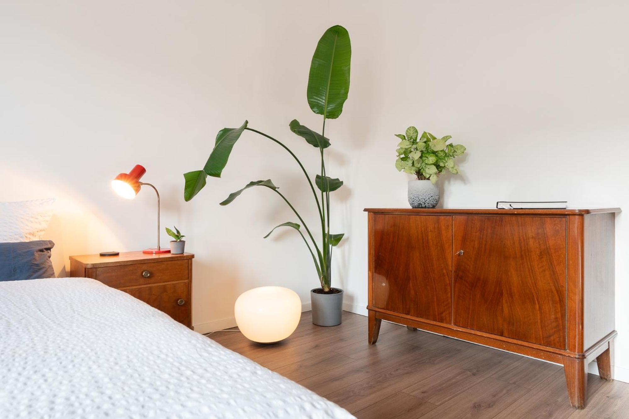 Luxurioeses Apartment, 10Min Innenstadt, Parkplatz Ерфурт Екстериор снимка